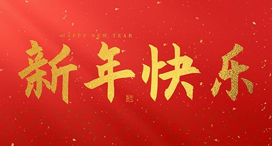 永乐国际祝各人2025新年快乐！